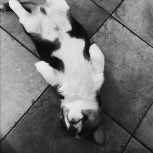 Meet your Posher, Derek